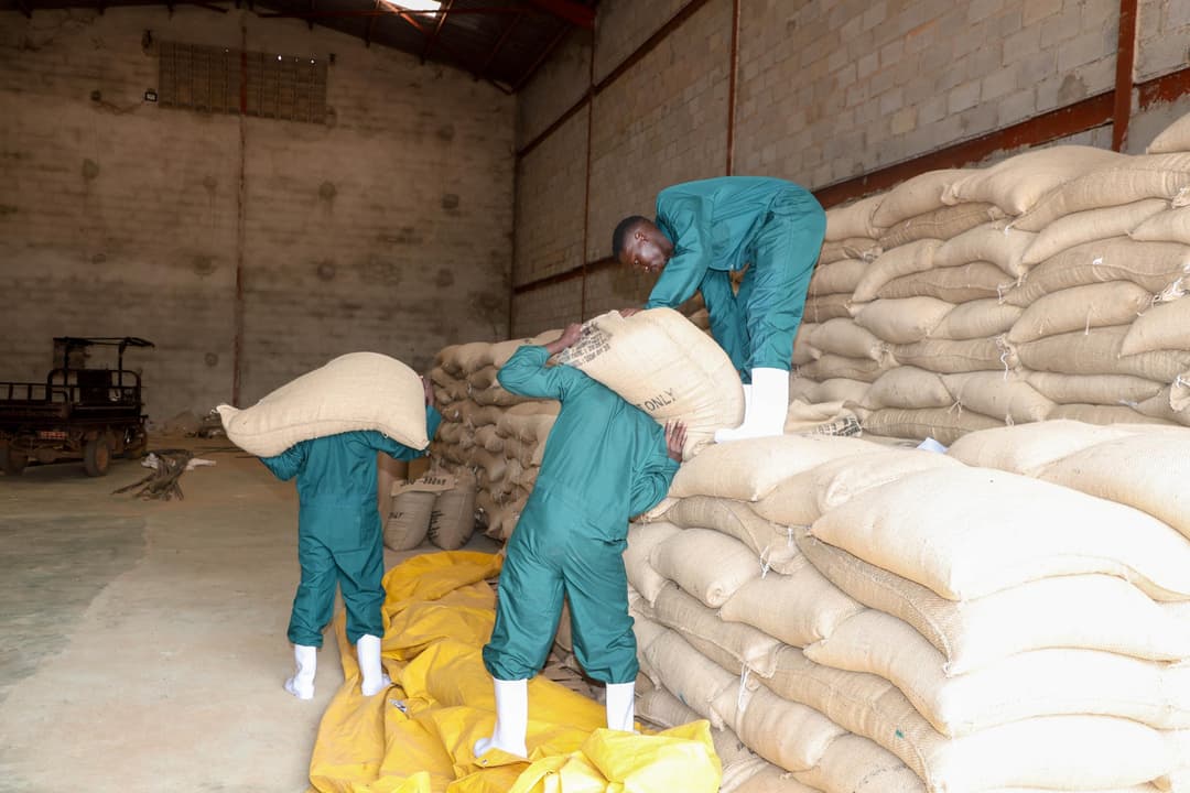 Worker support and handling operations