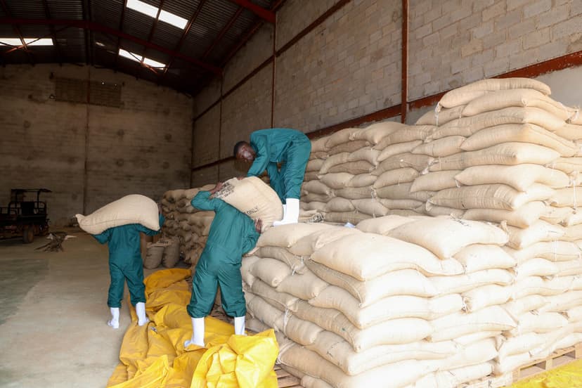 Warehousing and documentation