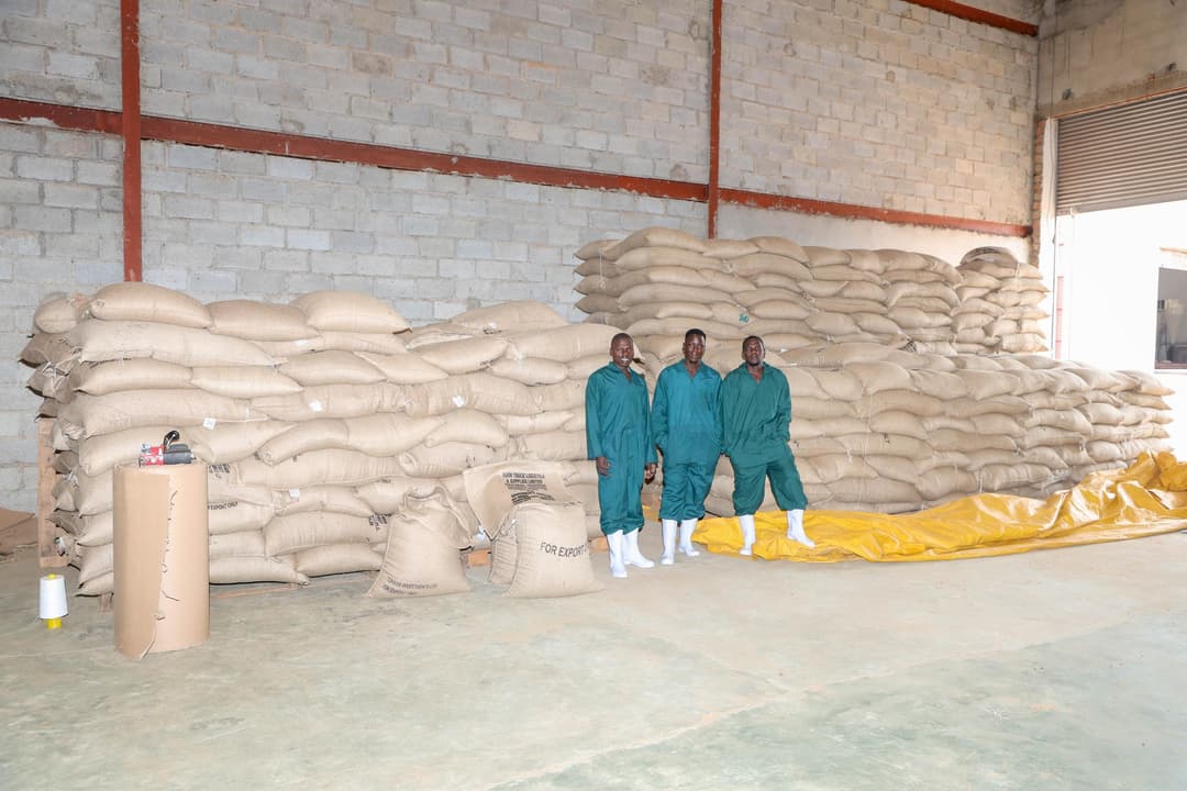 Warehouse teams and community-linked operations