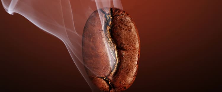 Farm-level sourcing and impact in Uganda